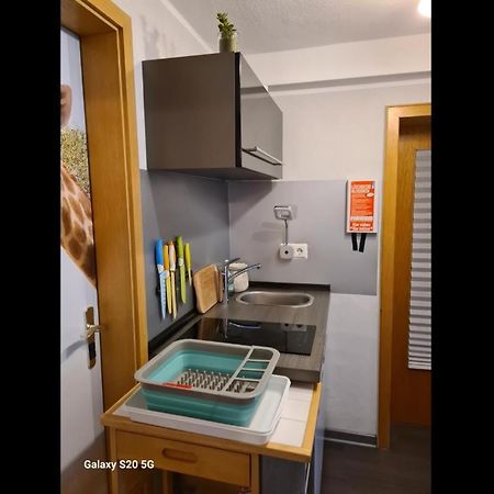 Neu! Ferienwohnung Eulennest Staudernheim 外观 照片